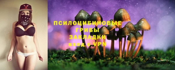 прущие крисы Кулебаки