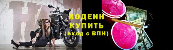 гидра Кущёвская