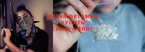 гидра Кущёвская