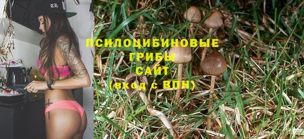 прущие крисы Кулебаки