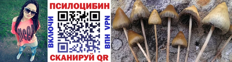 Купить закладки  Назарово  Псилоцибиновые грибы мухоморы 